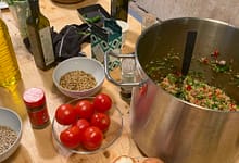 Rehearsing Hospitalities Summer School 2023: 'consent, complaint, intimacy'