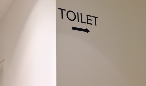 Toilet-Talk // 'there may not be a materiality of sex that is not burdened by the sex of materiality'